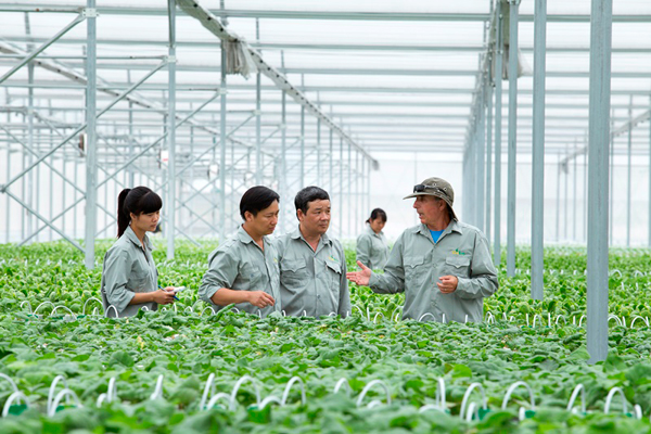 Du học nghề: Chăm sóc và nhân giống cây trồng dành cho học viên có sẵn B1